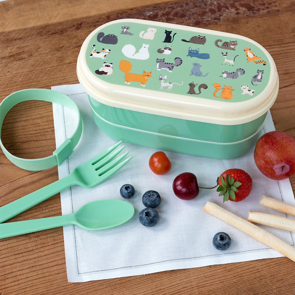 Wholesale Reusable Lunch Boxes Classic Back to School Food Container  Plastic Storage Box Kids Bento Lunch Box with Dividers Kitchen and Home -  China 6 Compartment Box and Cute Plastic Box price