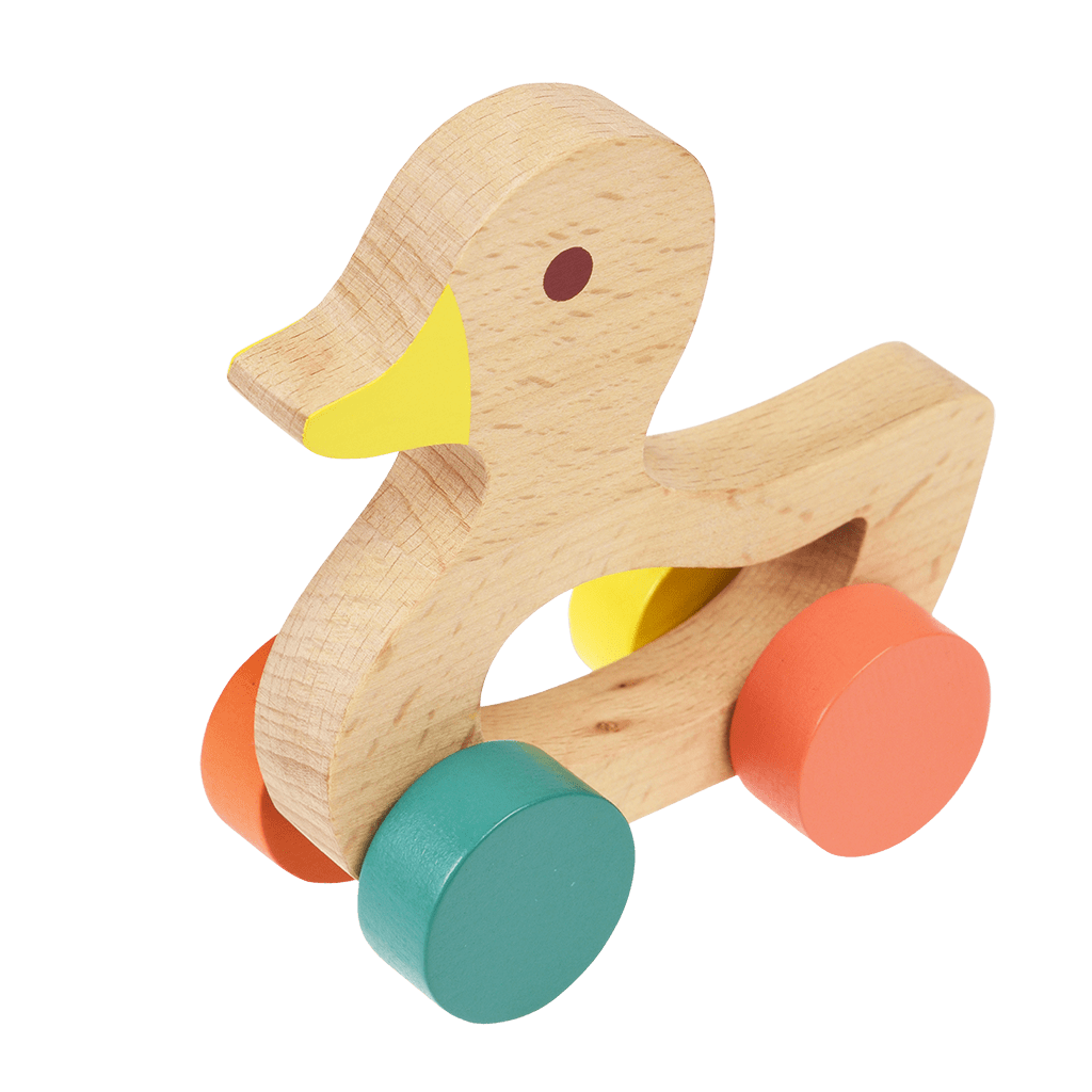 Push along deals duck toy