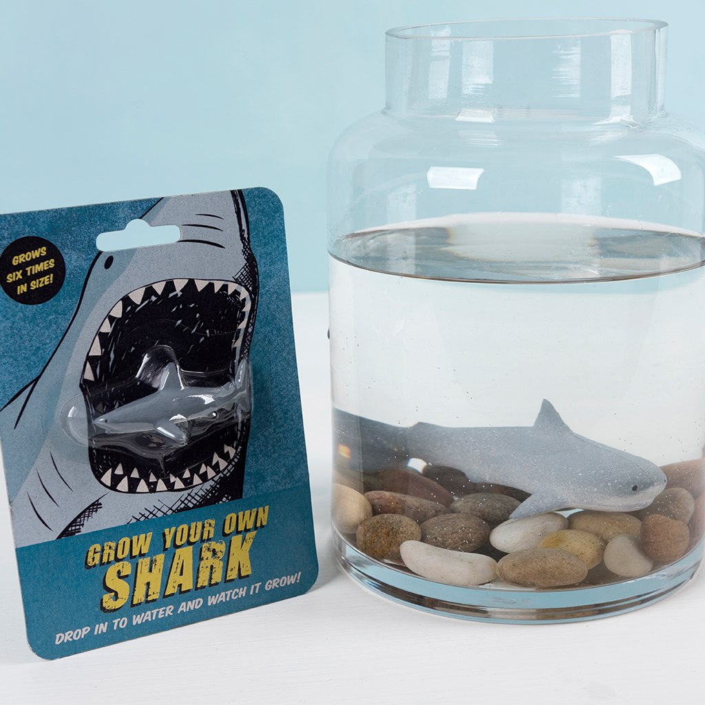 Grow store shark toy