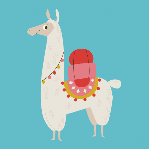 Dolly Llama