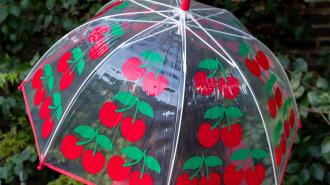 Transparent umbrella with red trim and cherry pattern