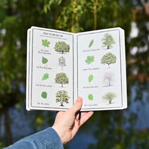 How to start a nature journal with kids