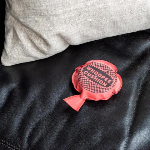 Whoopee cushion on sofa