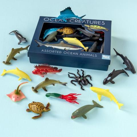 Ocean creatures box 