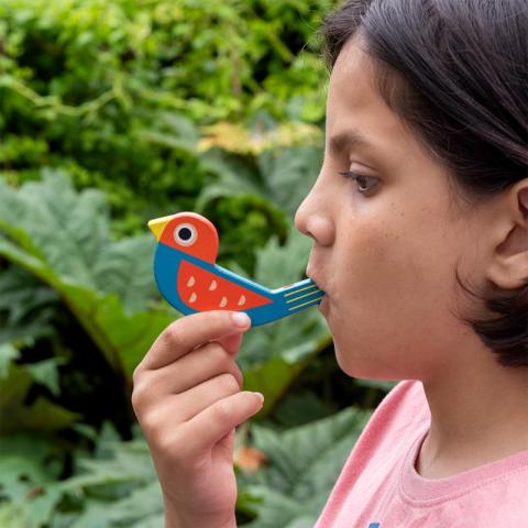 Wooden bird whistle