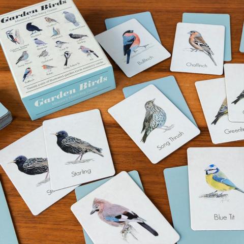 Garden birds memory game