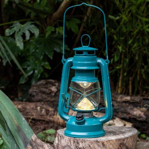 Blue lantern outside with plants