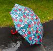Children's push-up umbrella - Ladybird