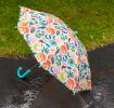 Children's push-up umbrella - Wild Wonders