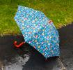 Children's push-up umbrella - Fairies in the Garden