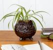 Owl planter