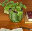 Ridged planter - Green