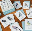 Memory game (20 pairs) - Garden Birds