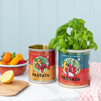 Passata metal storage tins, one containing a plant