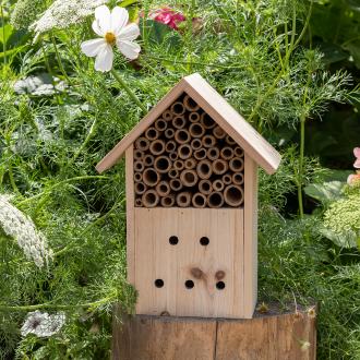 Wonders Of Nature Bug Hotel