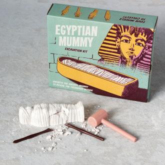 Egyptian Mummy Excavation Kit