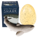  Sharks Giant Hatching Shark Egg