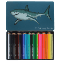 Shark 36 colouring pencils in tin