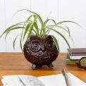 Owl planter