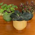 Ridged planter 