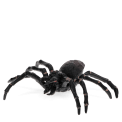 Realistic tarantula toy