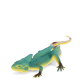 Realistic double crown lizard toy