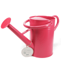 Galvanised steel watering can 4.5L - Red