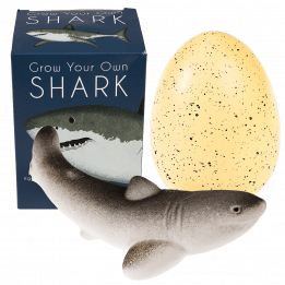 Sharks Giant Hatching Shark Egg