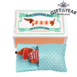 Mini sausage dog in a little box - Sausage Dog soft toy