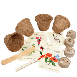 Flower growing kit - Bee and Butterfly