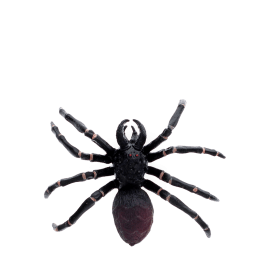 Realistic tarantula toy