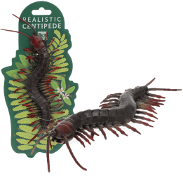 Realistic centipede toy