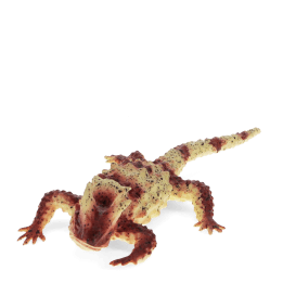 Realistic horned lizard toy