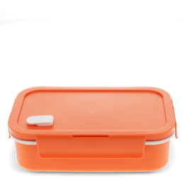 Double wall lunch box with divider - Orange