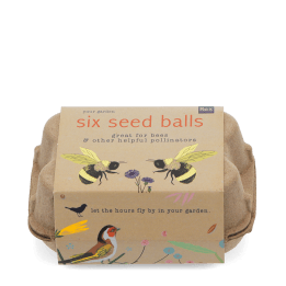 seed balls in egg box 