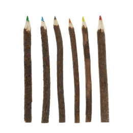 Twig coloured pencils (set of 6)