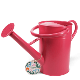 Galvanised steel watering can 4.5L - Red