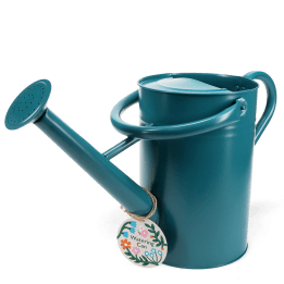 Galvanised steel watering can 4.5L - Blue