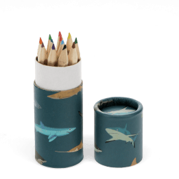 Tube of colouring pencils - Sharks