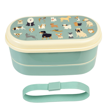 Best In Show bento box with elastic strap removed