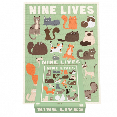 Completed Nine Lives puzzle with box