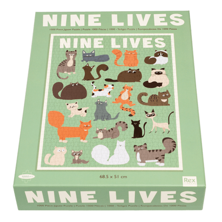 Nine Lives puzzle box