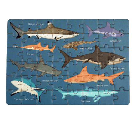 Sharks completed puzzle