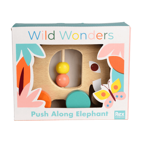 Wild Wonders push along elephant toy in box