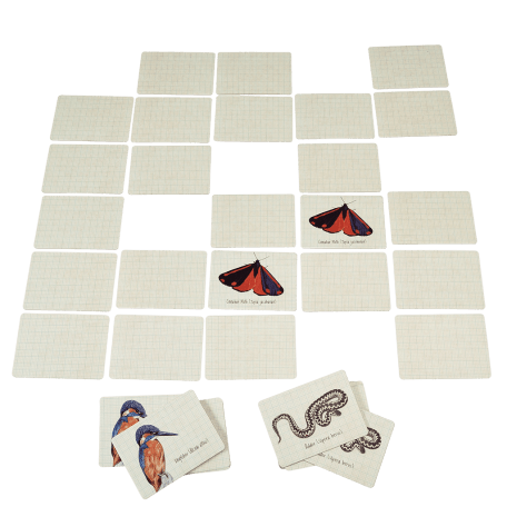 Memory game cards depicting animals found on nature trail laid out on surface