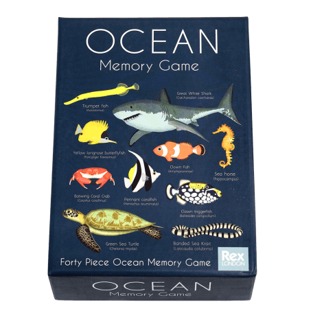 Ocean memory game box lid