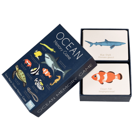 Ocean memory game box opened to reveal game cards