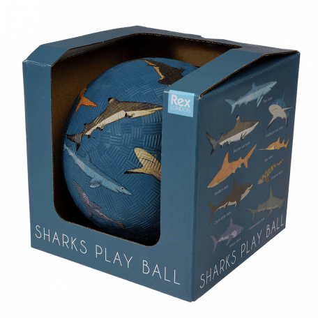 Sharks play ball in box side view