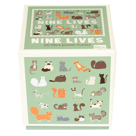 Nine Lives puzzle box