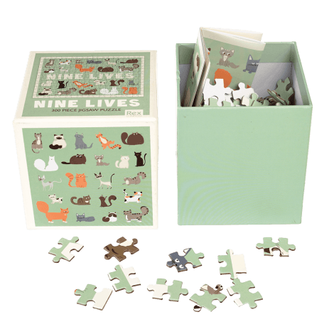 Nine Lives puzzle pieces and guide sheet in box